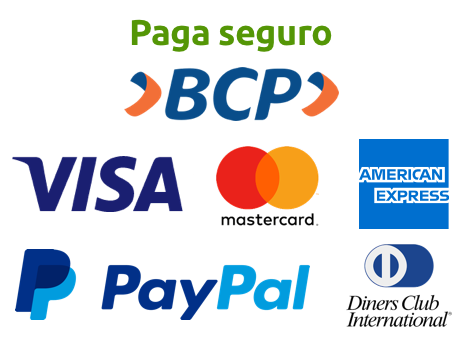 Formas de pago aceptadas: tarjetas Visa, Mastercard y otras